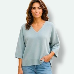 ARITZIA Wilfred Free LENZING™ ECOVERO TM Wide Sleeve Oversize V- Neck Sweater M